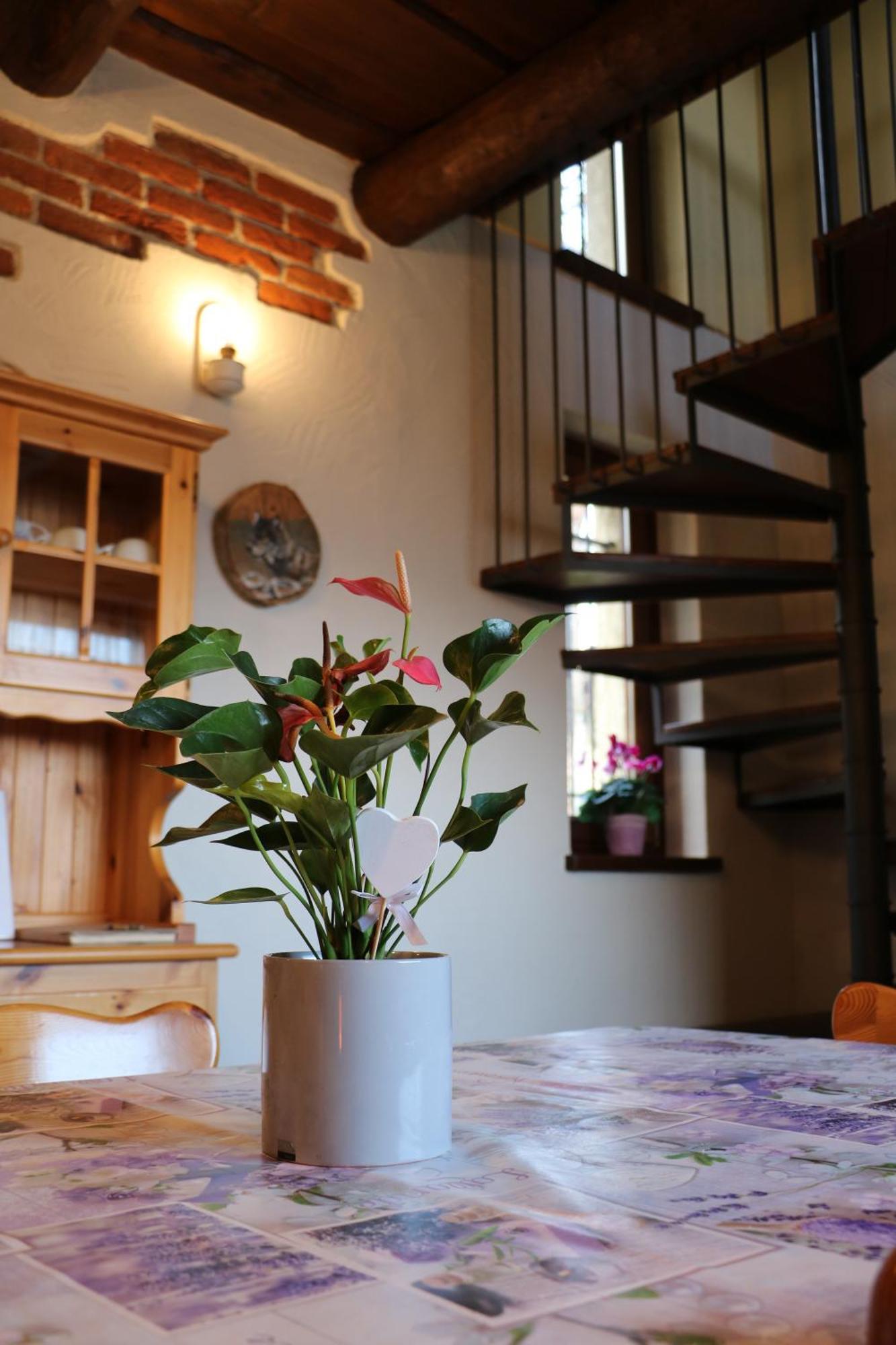 Casa Vacanze Le Primule Peveragno Εξωτερικό φωτογραφία