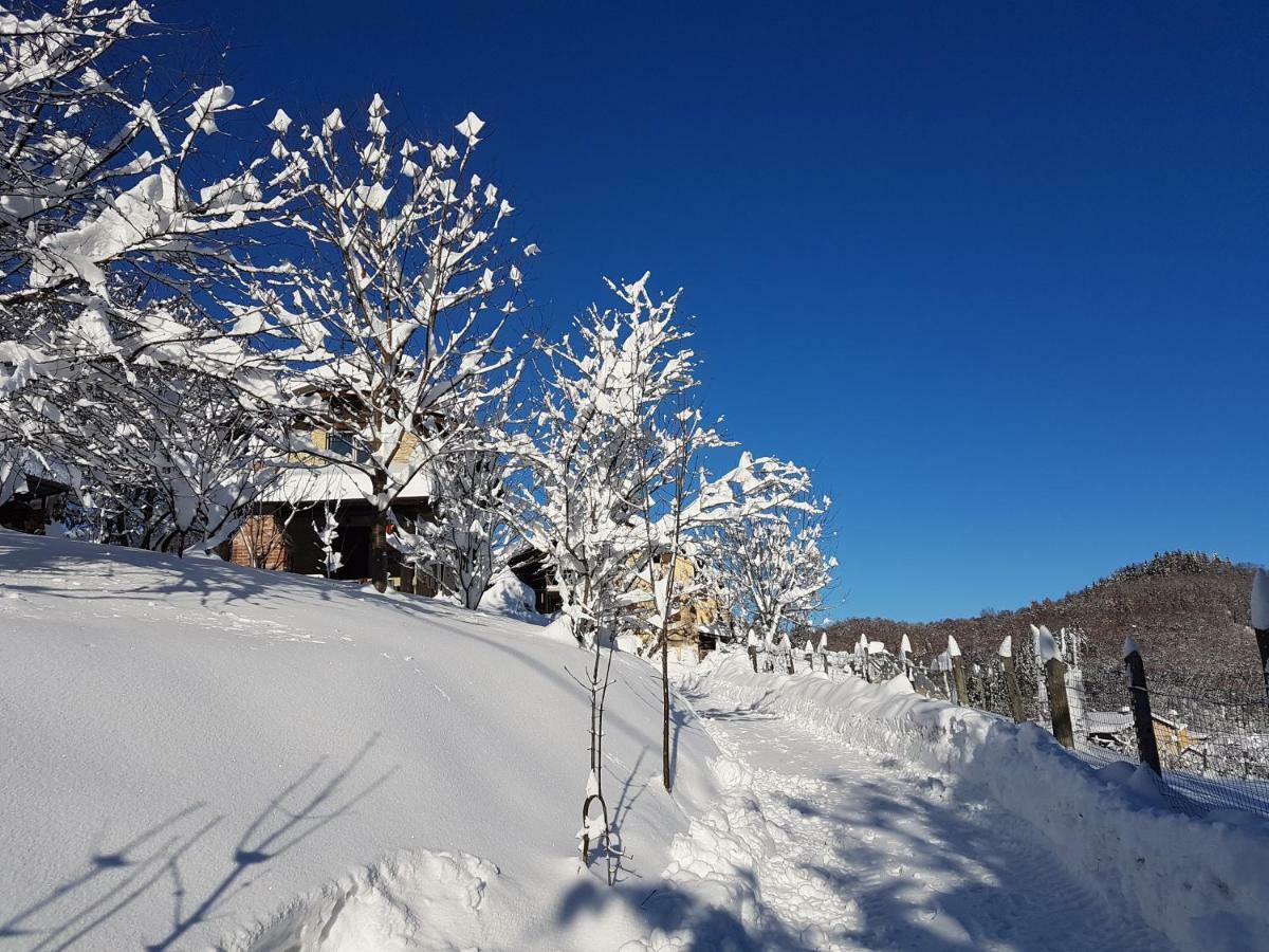 Casa Vacanze Le Primule Peveragno Εξωτερικό φωτογραφία