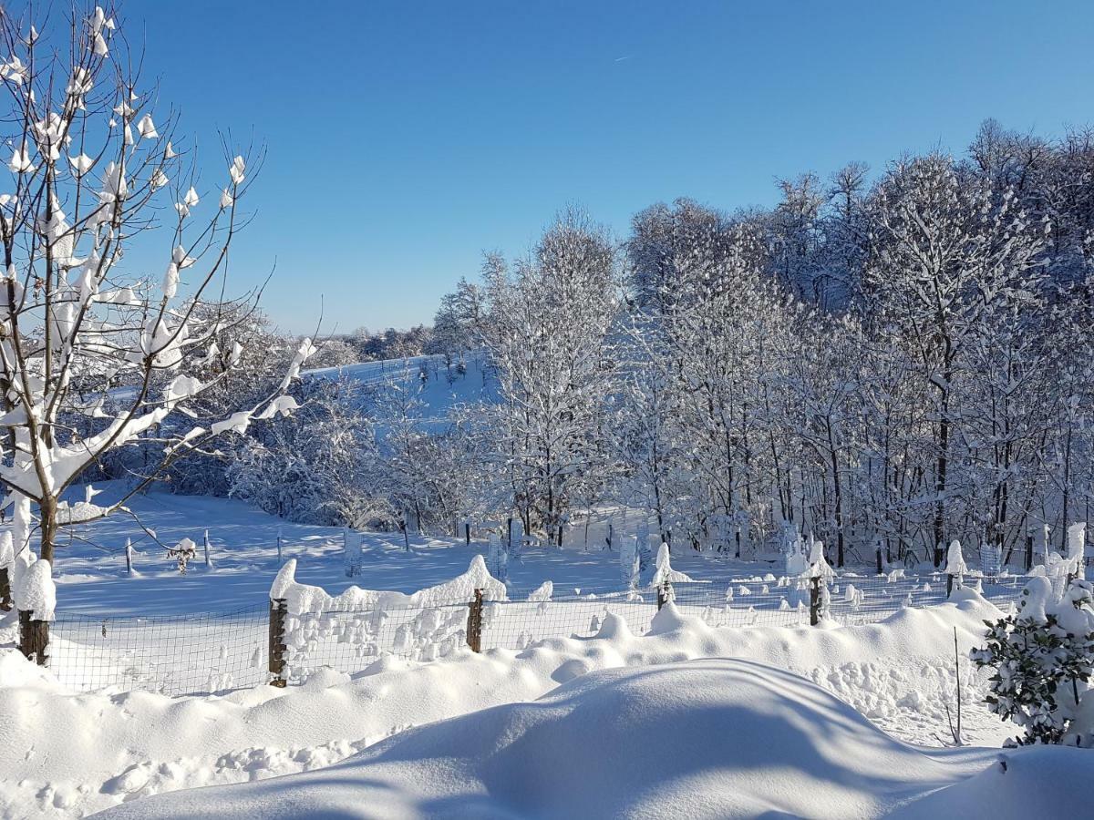 Casa Vacanze Le Primule Peveragno Εξωτερικό φωτογραφία