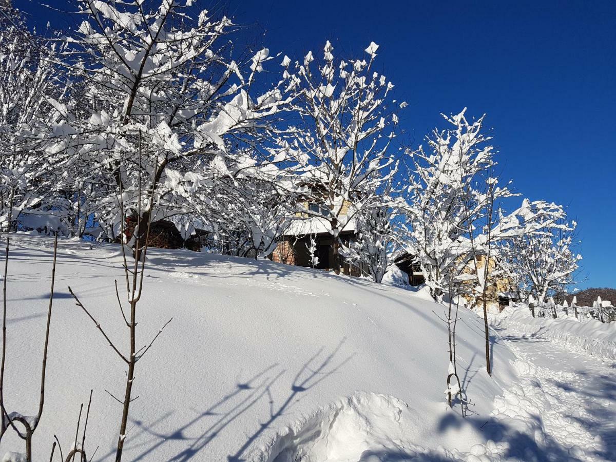 Casa Vacanze Le Primule Peveragno Εξωτερικό φωτογραφία